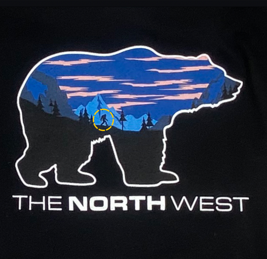 The NORTH West Bear Hoodie