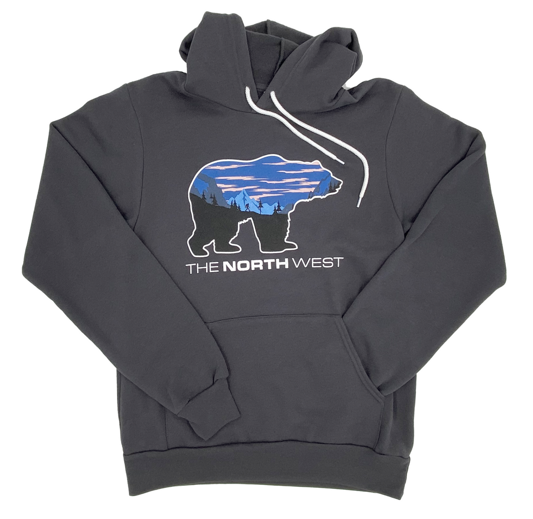 North face bear sales hoodie
